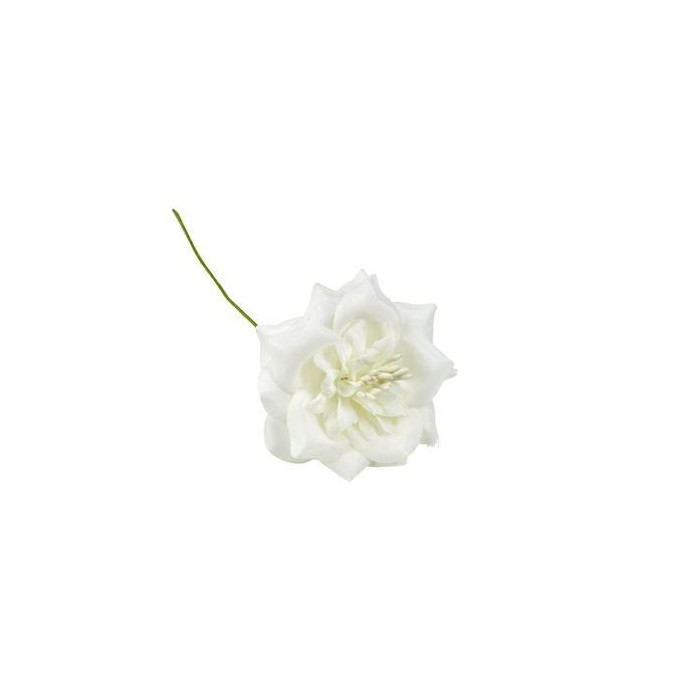 FIORE STELLA 6CM PANNA